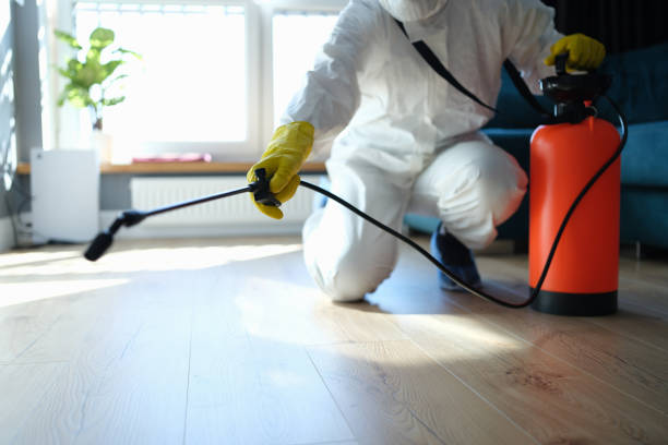 Reliable Infectious Disease Decontamination contractor in Banning, CA by Trauma Clean Pros